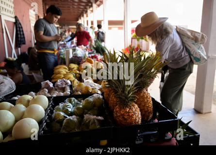 Waimea mercato agricolo, Hawaii Big Island Foto Stock