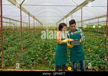 Lavoratori asiatici di casa di discutere le informazioni in documento Foto Stock