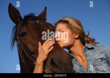 felice, cavallo, bacio, amore animale, cavallo, happies, cavalli, baci, amori animali, cavalli, pilota Foto Stock