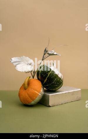 Mietete ancora vita. Zucca decorata in argento con foglie su un podio fatto di mattoni su sfondo pastello Foto Stock