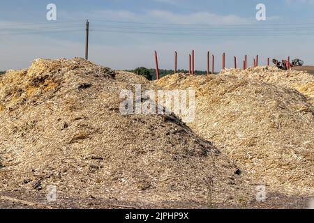 Un mucchio grande di segatura dal legno dopo la lavorazione del legno, spreco dalla produzione del legno sotto forma di segatura Foto Stock