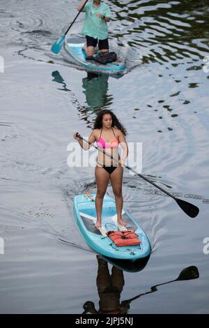 Austin Texas USA, agosto 14 2022: Giovane donna che indossa la bikini guida il suo stand up paddleboard lungo Lady Bird Lake vicino al centro in una calda serata di agosto. ©Bob Daemmrich Foto Stock