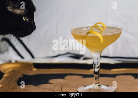 gatto nero con occhi verdi guardando il cocktail giallo limone su vassoio oro e nero con bianco Foto Stock