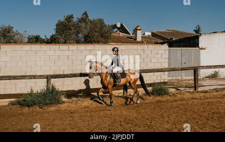 giovane donna in uniforme equitazione jogging il suo cavallo intorno all'arena di equitazione Foto Stock