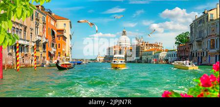 venezia, canal grande, vaporetto, venices, grandi canali, vaporetti Foto Stock