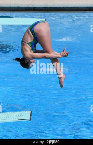 Roma, Italia. 16th ago, 2022. CRYAN Clare IRL Dive WOMEN - 1M SPRINGBOARD - FINAL durante i Campionati europei di Aquatics, Roma, Italia, allo Stadio del Nuoto, Roma 16 ago 2022 (Photo by AllShotLive/Sipa USA) Credit: Sipa USA/Alamy Live News Foto Stock