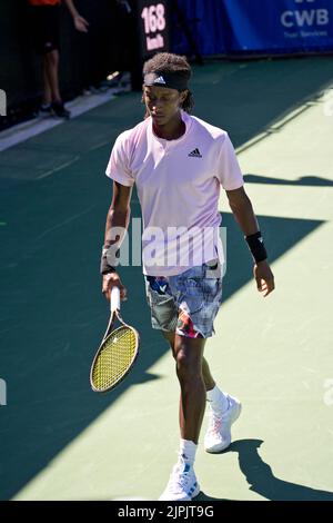 Vancouver occidentale, Canada. 16th ago, 2022. West Vancouver, British Columbia, Canada, 16th 2022 agosto Mikael Ymer (Svezia) durante il torneo di tennis Odlum Brown VanOpen il 16 agosto 2022 all'Hollyburn Country Club di West Vancouver, British Columbia, Canada. (Amy Elle/SPP) Credit: SPP Sport Press Photo. /Alamy Live News Foto Stock