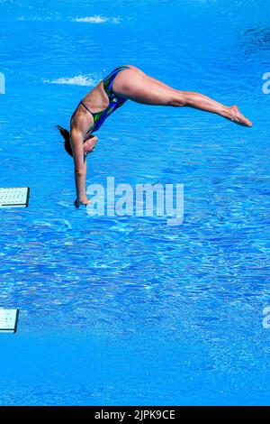 Roma, Italia. 16th ago, 2022. CRYAN Clare IRL Dive WOMEN - 1M SPRINGBOARD - FINAL durante i Campionati europei di Aquatics, Roma, Italia, allo Stadio del Nuoto, Roma 16 ago 2022 (Photo by AllShotLive/Sipa USA) Credit: Sipa USA/Alamy Live News Foto Stock