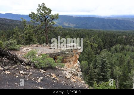 Sul sentiero del Colorado Foto Stock