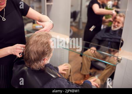 cliente, parrucchiere, taglio di capelli, cliente, clienti, clienti, parrucchieri, acconciatori Foto Stock