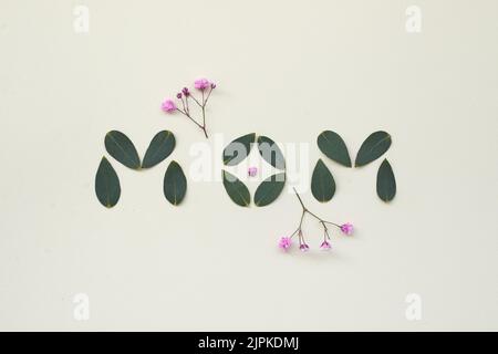 dattiloscritto, giorno delle madri, mamma, dattiloscritti, giorni delle madri Foto Stock