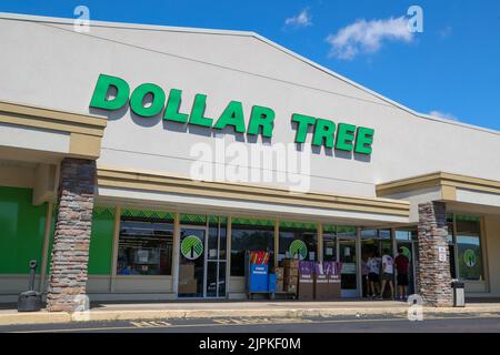 Bloomsburg, Stati Uniti. 18th ago, 2022. Una vista esterna di un negozio Dollar Tree vicino a Bloomsburg. Credit: SOPA Images Limited/Alamy Live News Foto Stock