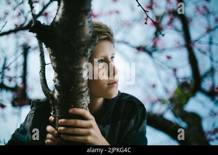 Il ragazzo pre-teen sale al ciliegio con cielo blu in natura Foto Stock