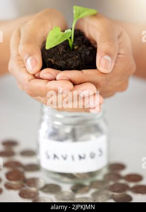 . Economia verde mani e risparmio crescita per investimenti, finanza e futuro obiettivo di denaro. Primo piano di consulente finanziario, dipendente bancario e holding di lavoratori Foto Stock