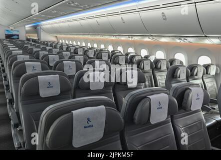 17 agosto 2022, Brandeburgo, Schönefeld: Vista su un Boeing 787 Dreamliner della compagnia aerea Norse Atlantic Airways. La compagnia aerea Norse Atlantic Airways lancia il suo primo volo dall'aeroporto BER a New York (JFK) il 17 agosto. Foto: Patrick Pleul/dpa Foto Stock