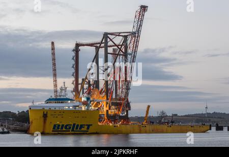 Rushbrooke, Cork, Irlanda. 19th agosto, 2022. La prima delle tre gru a container a terra viene caricata sul ponte della nave Biglift Baffin presso il Cork Dockyard, Rushbrooke, Co. Cork, Irlanda. Costruite da Liebherr a Killarney, le gru sono i più grandi oggetti singoli mai progettati in Irlanda per essere spediti fuori dal paese ai cantieri navali di New York e New Jersey. Credit; David Creedon / Alamy Live News Foto Stock