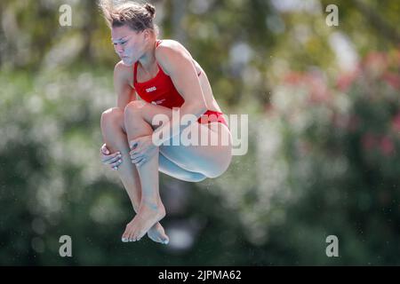 Roma, Italia. 19th ago, 2022. ROMA, ITALIA - 19 AGOSTO: Daphne Wils of the Netherlands in gara allo Springboard femminile 3m durante l'European Aquatics Roma 2022 - Day 9 allo Stadio del Nuoto il 19 agosto 2022 a Roma (Foto di Nikola Krstic/BSR Agency) NOCNSF Credit: Orange Pics BV/Alamy Live News Foto Stock