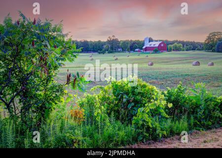 Questa scena di un fienile con chiocciole di fieno rotonde all'alba è una tipica scena di fine estate in Door County Wisconsin. Questo fu portato a sud di Egg Harbor. Foto Stock