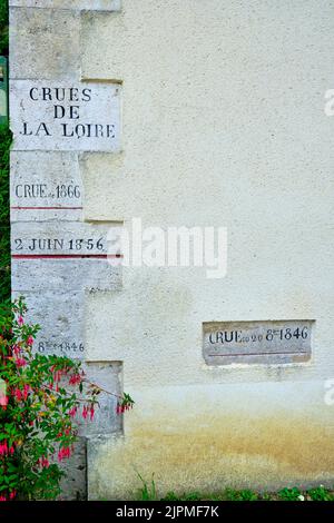 Francia, Loiret, Combleux, livello di alluvione della Loira Foto Stock