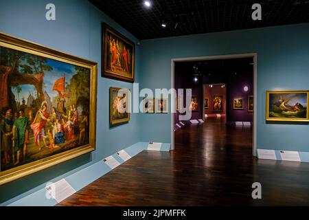 Francia, Loiret, Orleans, Beaux Art Museum Foto Stock