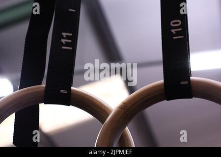 Anelli di ginnastica Foto Stock