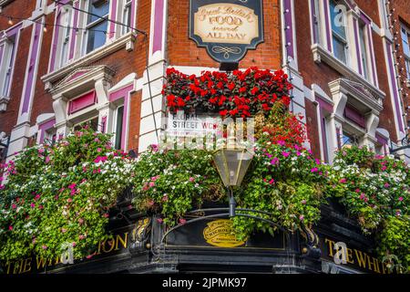 Il pub bianco leone, via floreale, covent Garden, londra, inghilterra, regno unito, wc2, Foto Stock