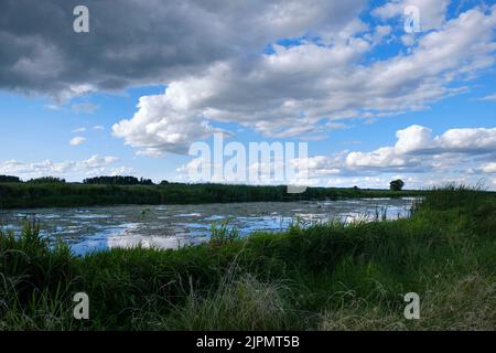 Le soffici nuvole sul fiume Biebrza si riflettono nell'acqua. Moody nuvoloso con cielo coperto. Precipita nelle paludi e nella natura selvaggia. Conteggio Foto Stock