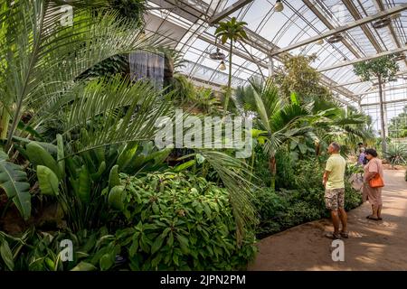 Persone che visitano la Glasshouse a RHS Gardens Wisley, Surrey, Inghilterra, Regno Unito Foto Stock