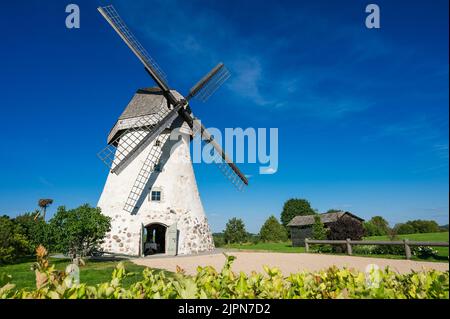 Mulino a vento di tipo olandese ad Araisi, Lettonia. Giorno estivo di sole. Stile della vecchia Europa. Cielo blu. Erba verde. Foto Stock