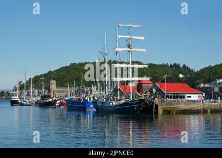 Nave alta Thalassa registrata nei Paesi Bassi accanto al North Pier, Oban Harbout, Argyll e Bute, Scozia. Foto Stock