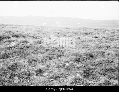 Biotopo per Ljungpipelare Biotop för ljungpipelare Foto Stock