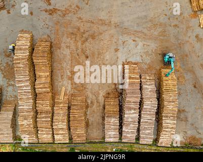 Vista dall'alto di tronchi e macchinari impilati su un cortile di legno esterno Foto Stock