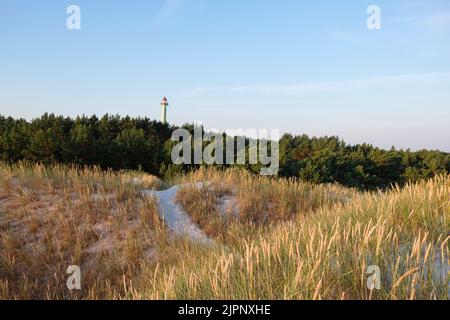 Sentiero di sabbia sulla spiaggia con erba alla luce del mattino fino alla torre del punto di osservazione. Le dune di Lubiatowo, parco naturale con una fascia costiera protetta dal Baltico Foto Stock