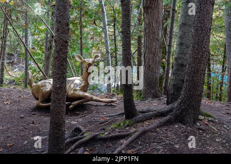 Robert Cram's Whitetail Deer, sculture in bronzo lucidato, sono una piacevole sorpresa lungo il Bridal Veil Falls Trail a Kagawong, Manitoulin Island. Foto Stock