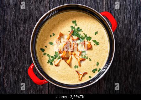 Kanttarellikeitto, zuppa finnica di Chanterelle in vaso rosso su tavolo di legno scuro, vista orizzontale dall'alto, piatto, primo piano, macro Foto Stock