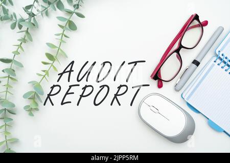 Conceptual Caption Audit Report, Business Concept Valutazione dello stato finanziario completo di un'attività commerciale flashy School Office Supplies, Teachi Foto Stock