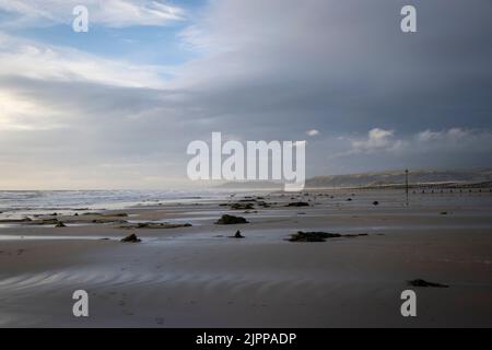 la foresta pietrificata in borth Foto Stock