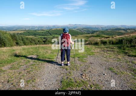 Retro vista posteriore donna anziana camminatore donna guardando il paesaggio in estate, Carmarthenshire Galles UK 2022 KATHY DEWITT Foto Stock