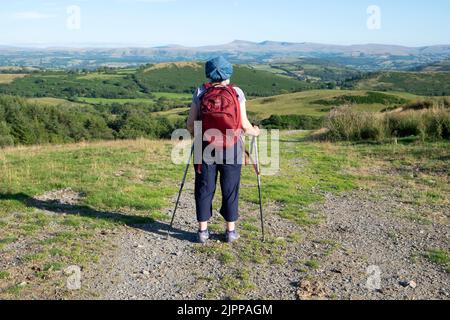 Retro vista posteriore donna anziana camminatore donna guardando il paesaggio in estate, Carmarthenshire Galles UK 2022 KATHY DEWITT Foto Stock