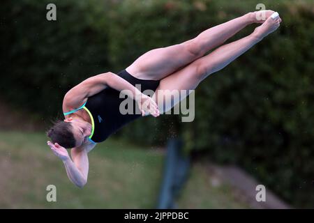 Roma, Italia. 19th ago, 2022. Roma, Italia 19.08.2022: La squadra Chiara Pellacani Italia vince la medaglia d'oro durante la finale di 3m Springboard delle Diving Donne nel Campionato di nuoto in LEN European Aquatics a Roma 2022 in Foro Italico. Credit: Independent Photo Agency/Alamy Live News Foto Stock