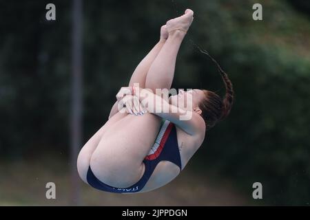 Roma, Italia. 19th ago, 2022. Roma, Italia 19.08.2022: La squadra Chiara Pellacani Italia vince la medaglia d'oro durante la finale di 3m Springboard delle Diving Donne nel Campionato di nuoto in LEN European Aquatics a Roma 2022 in Foro Italico. Credit: Independent Photo Agency/Alamy Live News Foto Stock