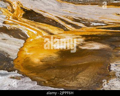 Attività termica flussi di lava giallo brillante e formazioni a Orakei Korako sulla zona di altopiano vulcanico Nuova Zelanda. Foto Stock