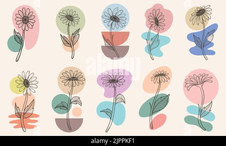 Fiore boho collezione elementi estetici vettoriali illustrazione Illustrazione Vettoriale