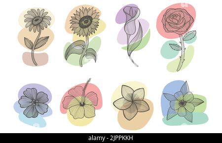 Flower line art boho elementi estetici set illustrazione vettoriale Illustrazione Vettoriale