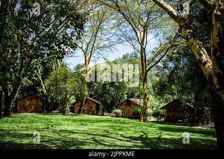 Sarova Mara Game Camp Safari Lodge in Kenya Maasai Mara National Game Reserve Park Narok County Kenya paesaggi dell'Africa orientale Great Rift Valley Wild Bu Foto Stock
