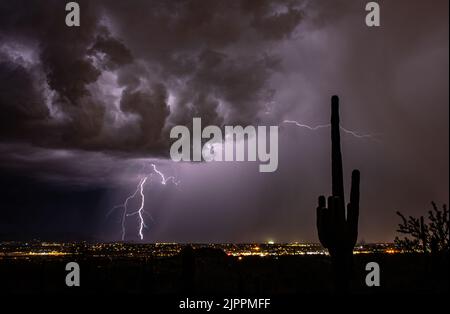 Tempesta di fulmini di notte con luci della città e cactus Saguaro Foto Stock