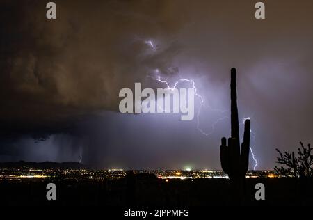 Tempesta di fulmini di notte con luci della città e cactus Saguaro Foto Stock