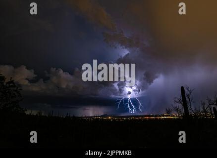 Tempesta di fulmini di notte con luci della città e cactus Saguaro Foto Stock