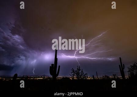 Tempesta di fulmini di notte con luci della città e cactus Saguaro Foto Stock