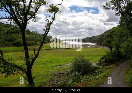 La siccità dichiarata attraverso le parti del Galles centrale e meridionale come divieto Pembrokeshire tubo di hosepipe entra in vigore.nella foto è Llys y Fran serbatoio. Foto Stock